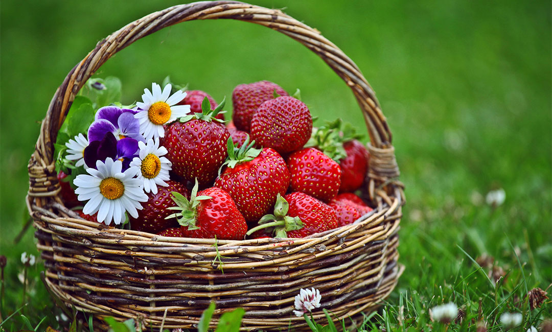 沧州点呀点水果电商APP开发案例